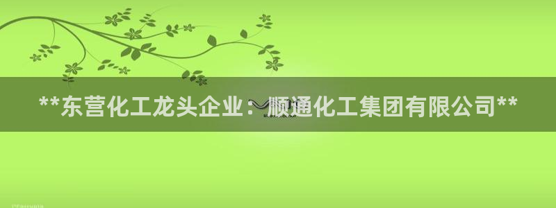 球盟会官网登录入口：**东营化工龙头企业：顺通化工集团有限公