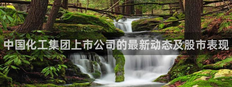 球盟会和中欧会的区别