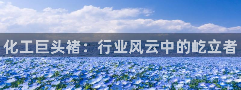 球盟会类似的网站