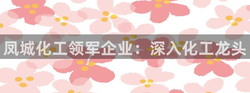 球盟会和中欧合作吗