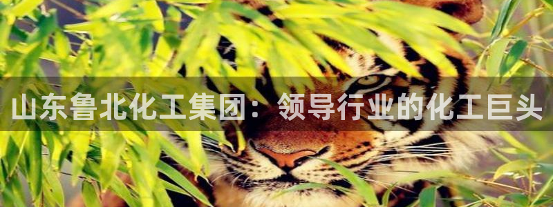 球盟会能退钱吗是真的吗