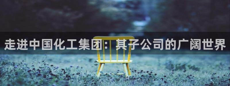 球盟会网页版
