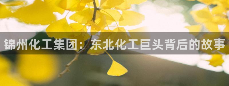 球盟会在线登录