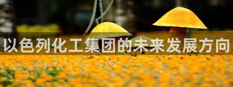 球盟会官方网页登录：以色列化工集团的未来发展方向