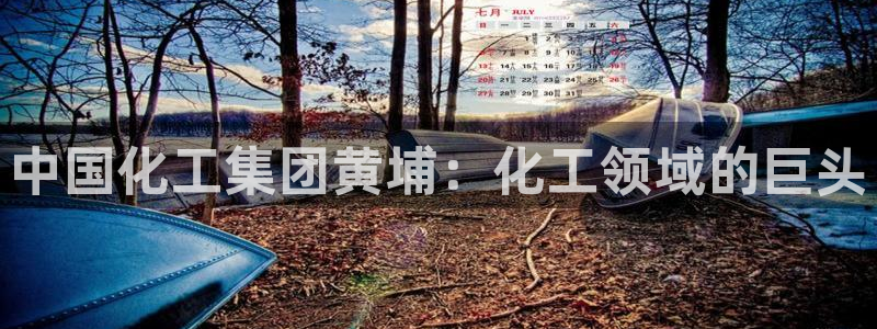 球盟会官方入口