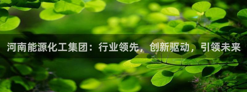 球盟会出款黑了：河南能源化工集团：行业领先，创新驱动，引领未