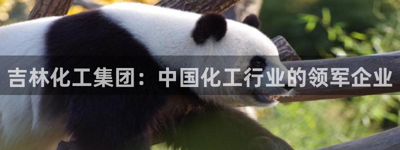 千亿球盟会乐玩