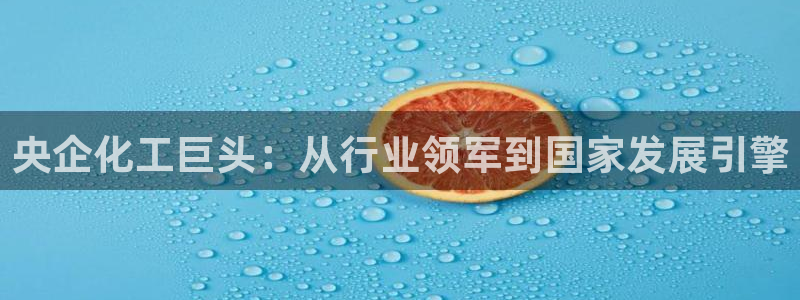 球盟会中国官方网站