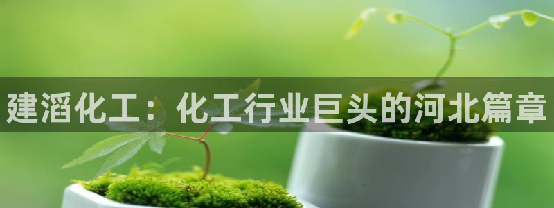 球盟会官方网站