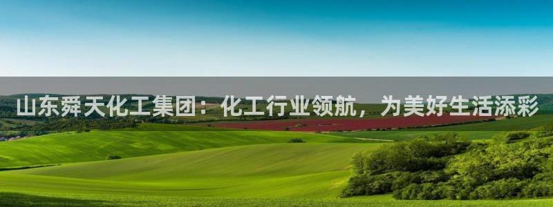 球盟会进不去
