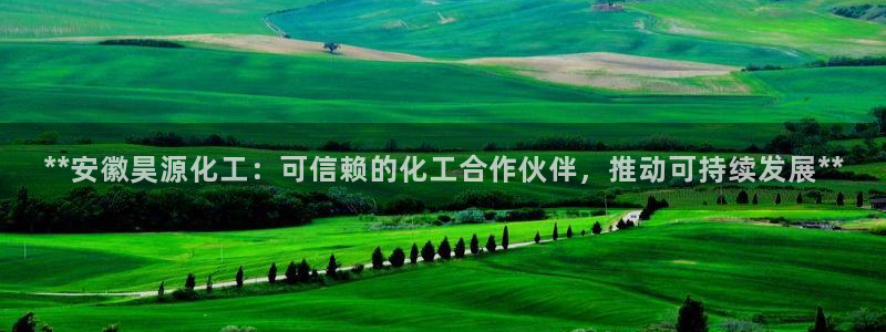 球盟会有没有黑单的活动：**安徽昊源化工：可信赖的化工合作伙