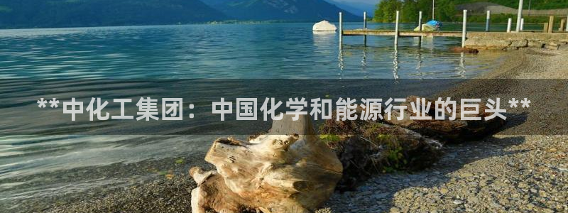 球盟会(中国)官方网站：**中化工集团：中国化学和能源行业的