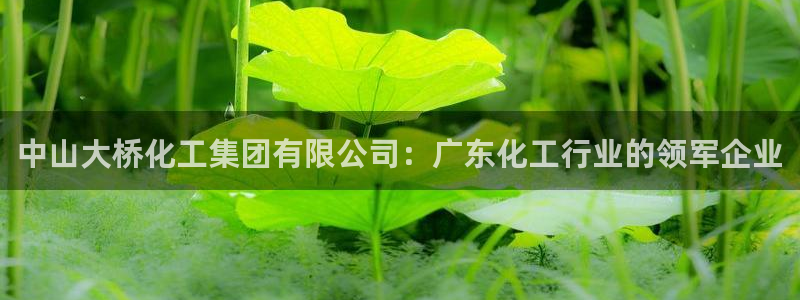 球盟会官方网入口：中山大桥化工集团有限公司：广东化工行业的领