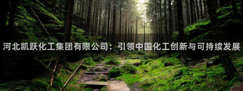 球盟会qmh网址：河北凯跃化工集团有限公司：引领中国化工创新