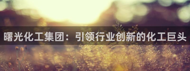 球盟会qmh登录地址：曙光化工集团：引领行业创新的化工巨头