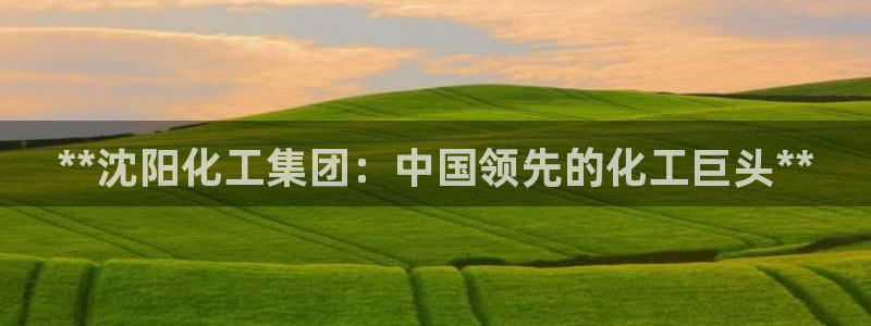 球盟会qm8597