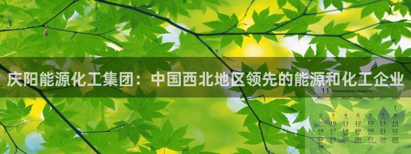 球盟会登陆：庆阳能源化工集团：中国西北地区领先的能源和化工企