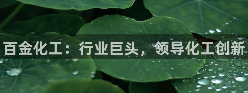球盟会贴吧