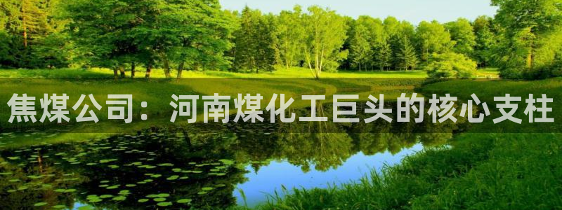 球盟会综合体育平台怎么样
