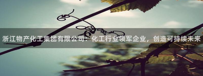 球盟会可以提现么是真的吗：浙江物产化工集团有限公司：化工行业