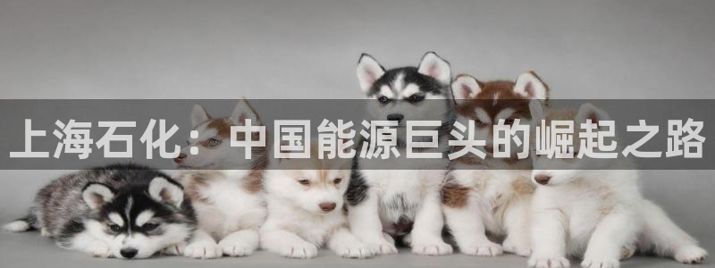 球盟会用的客服聊天是哪个软件
