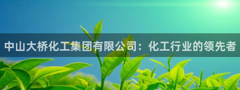 球盟会官方：中山大桥化工集团有限公司：化工行业的领先者