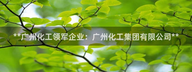 球盟会可以提现么是真的吗