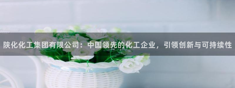 球盟会qmh官网：陕化化工集团有限公司：中国领先的化工企业，