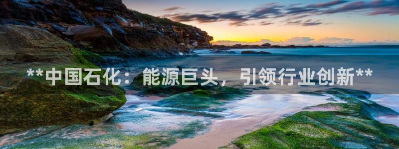 球盟会官方网站是什么：**中国石化：能源巨头，引领行业创新*