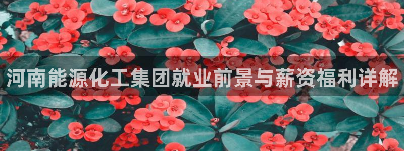 球盟会平台怎么样：河南能源化工集团就业前景与薪资福利详解