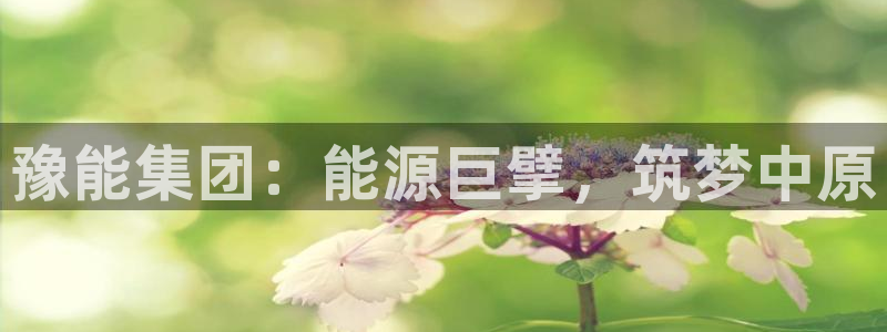 球盟会能退钱吗是真的吗：豫能集团：能源巨擘，筑梦中原