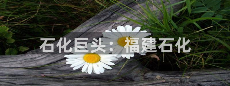 球盟会有限公司怎么样：石化巨头：福建石化