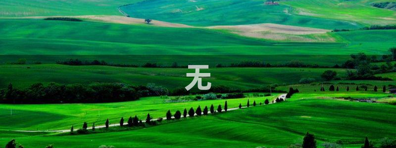 球盟会平台怎么样：无