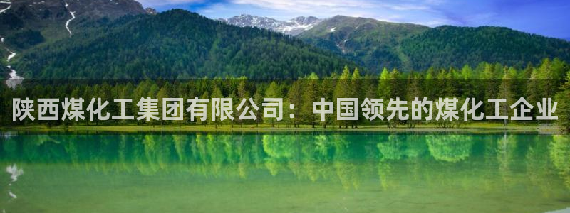 球盟会下款快吗：陕西煤化工集团有限公司：中国领先的煤化工企业
