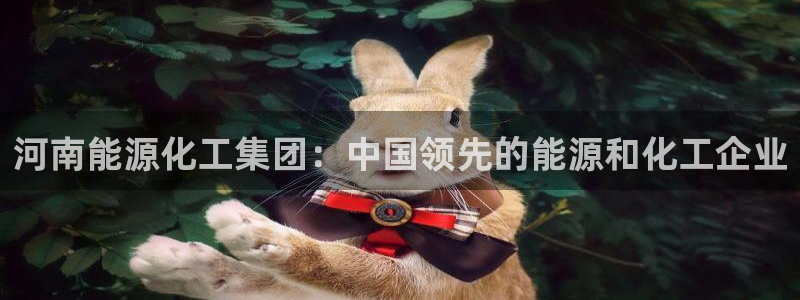 球盟会官网网页版：河南能源化工集团：中国领先的能源和化工企业