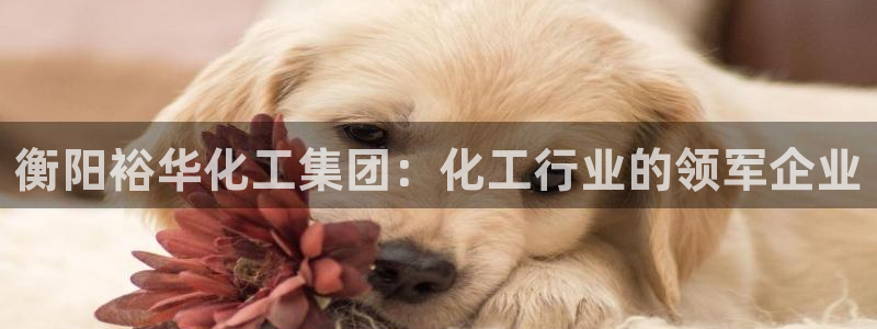 球盟会体验金球奖吗
