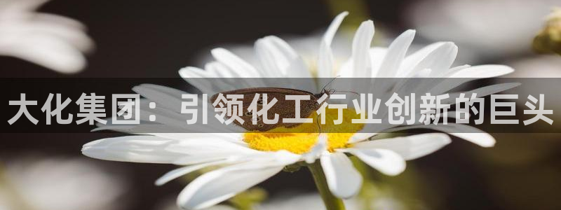 球盟会可以提现么