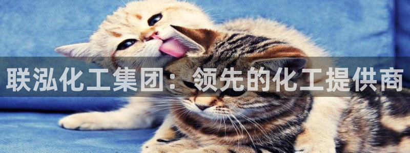 球盟会体育平台：联泓化工集团：领先的化工提供商