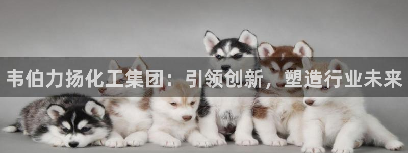 球盟会app