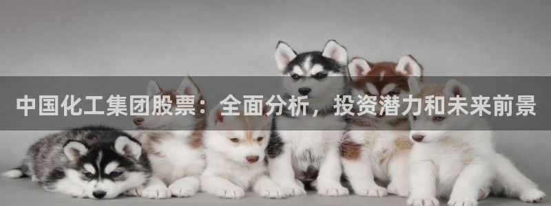 球盟会黑台子：中国化工集团股票：全面分析，投资潜力和未来前景