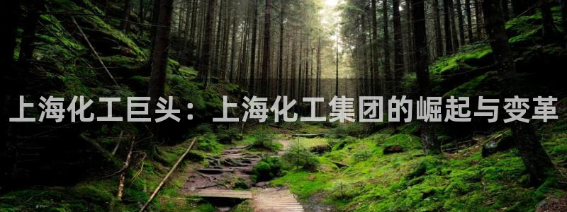球盟会官方版下载地址