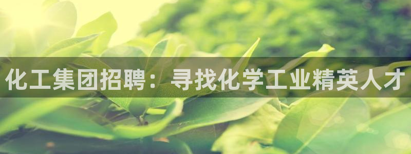 球盟会官方登录平台入口：化工集团招聘：寻找化学工业精英人才