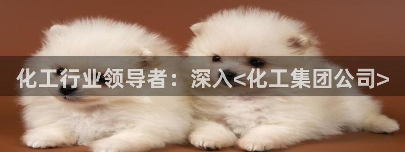 球盟会黑平台：化工行业领导者：深入<化工集团公司>