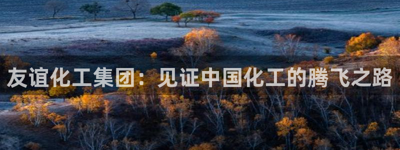 球盟会有没有黑单的