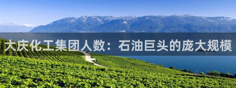 球盟会类似的网站