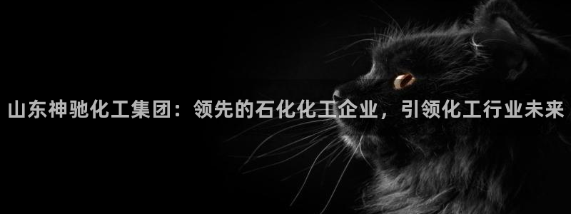 球盟会qm：山东神驰化工集团：领先的石化化工企业，引领化工行