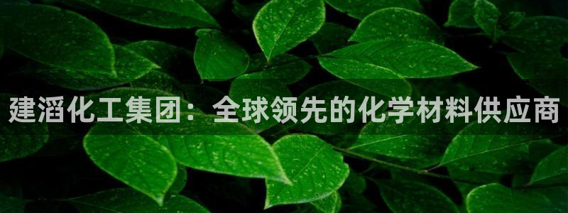 球盟会贴吧
