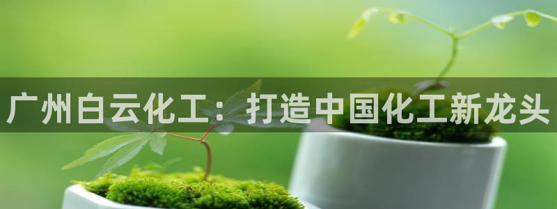 球盟会app入口