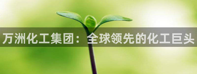 球盟会在线登入