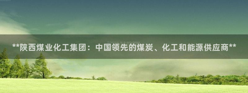 球盟会有没有黑单的人：**陕西煤业化工集团：中国领先的煤炭、